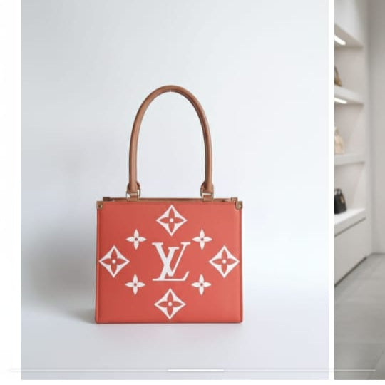 LV CANVAS BAG